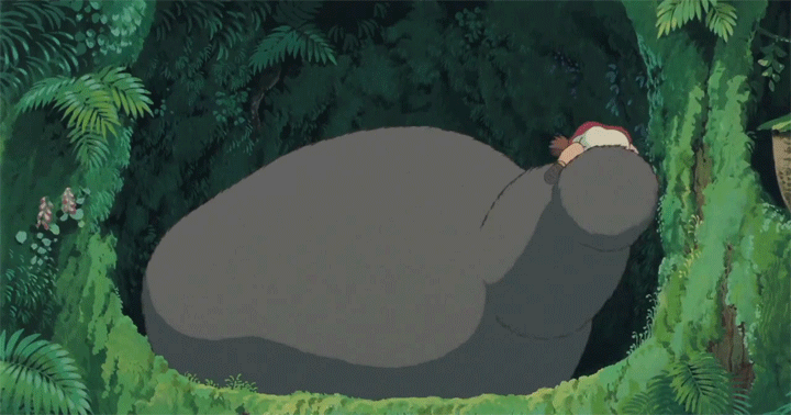 Totoro GIF Totoro GIF