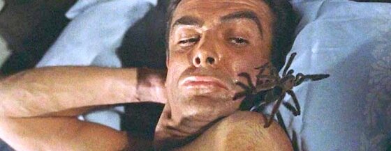 Dr No, spider Dr No, spider