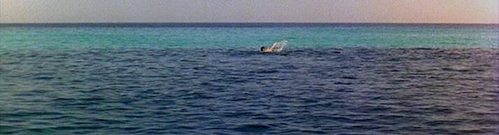 Jaws swims away at end of The Spy Who Loved Me Jaws swims away at end of The Spy Who Loved Me