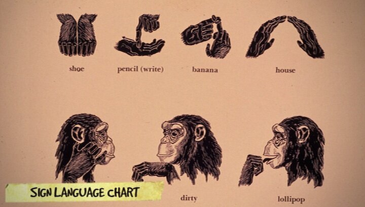 Project Nim, chimp sign language chart Project Nim, chimp sign language chart