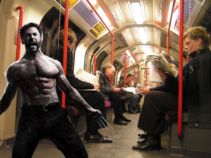 Wolverine Central Line Wolverine Central Line